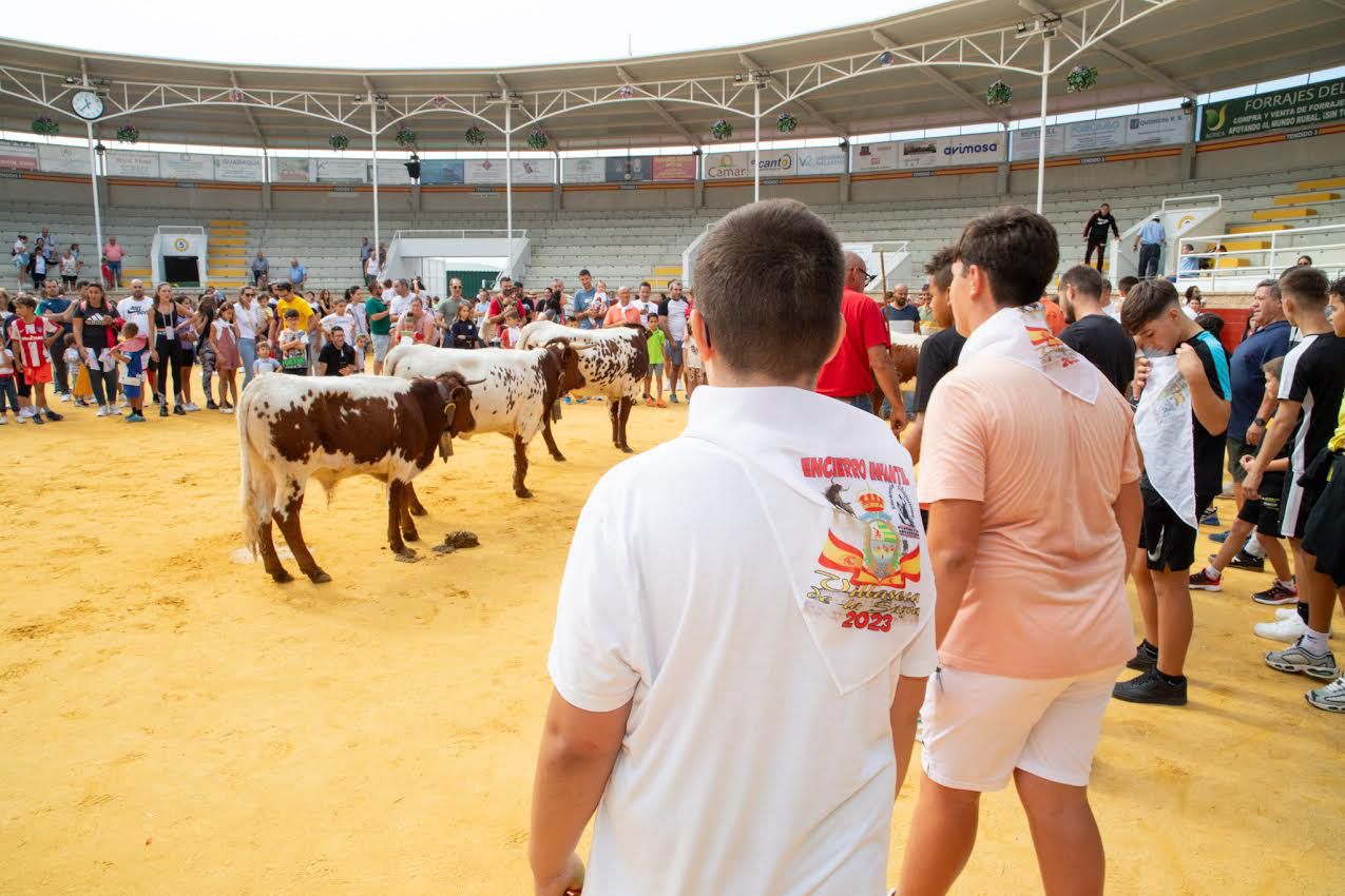 Ferias y Fiestas Villaseca de la Sagra 2023