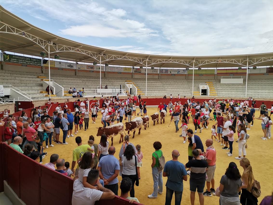 Ferias y Fiestas Villaseca de la Sagra 2023