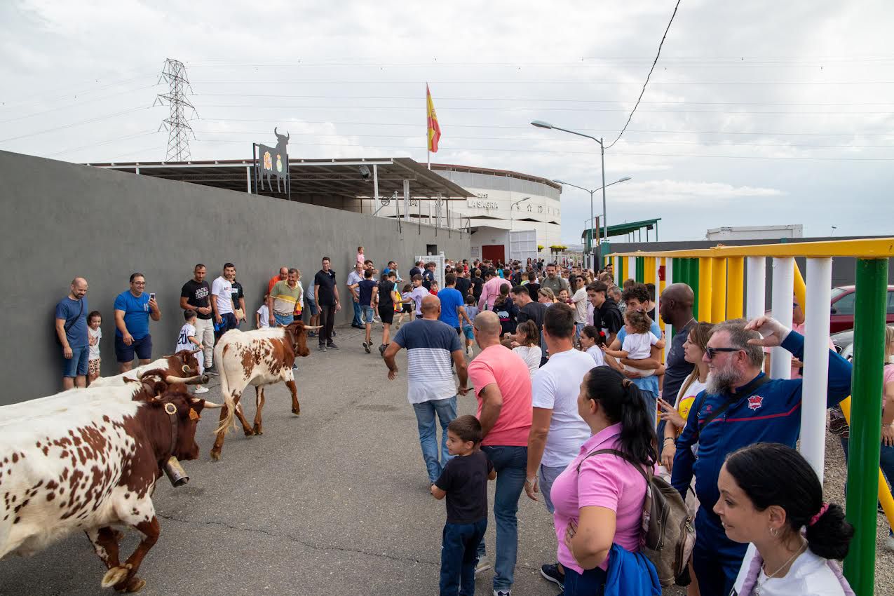 Ferias y Fiestas Villaseca de la Sagra 2023