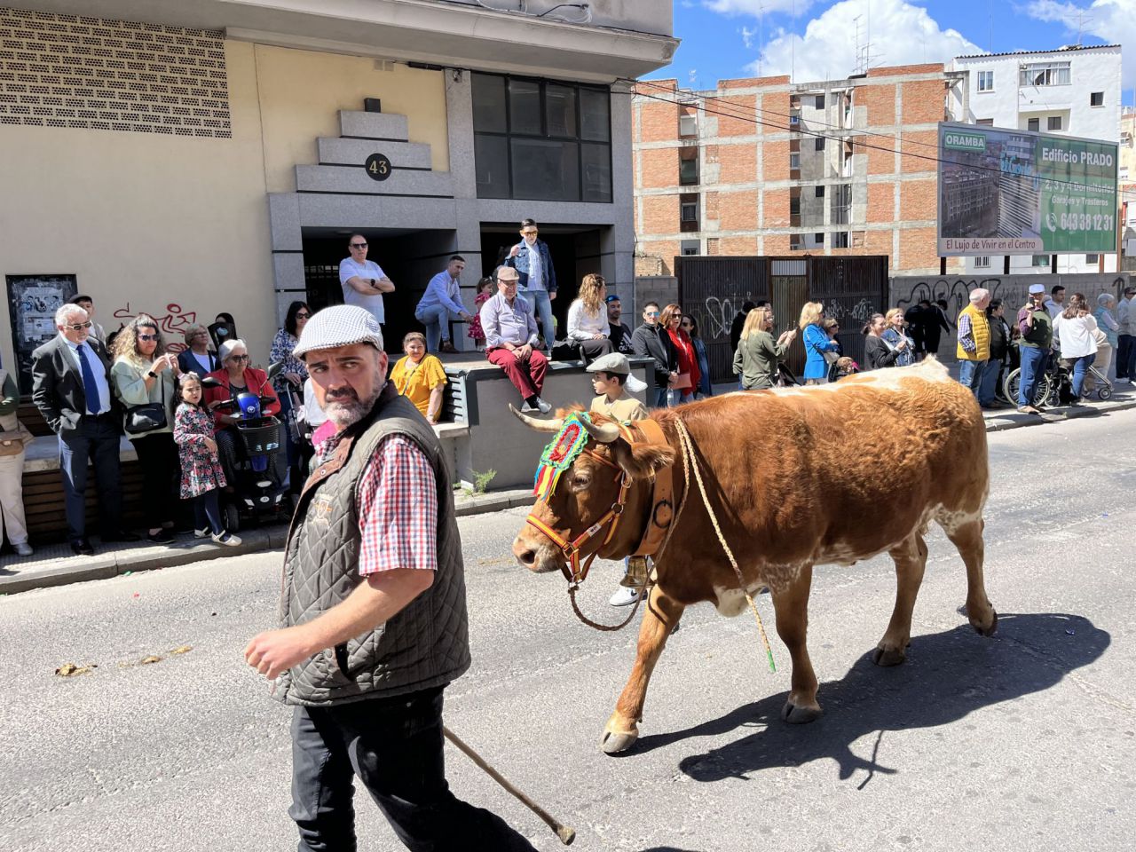 Desfile de San Isidro en Talavera 2024