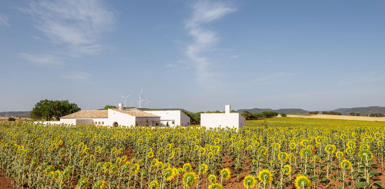 La 'Casa de Campo' de Zafra de Záncara (Cuenca), Premio COACM Arquitectura Obra Nueva Vivienda