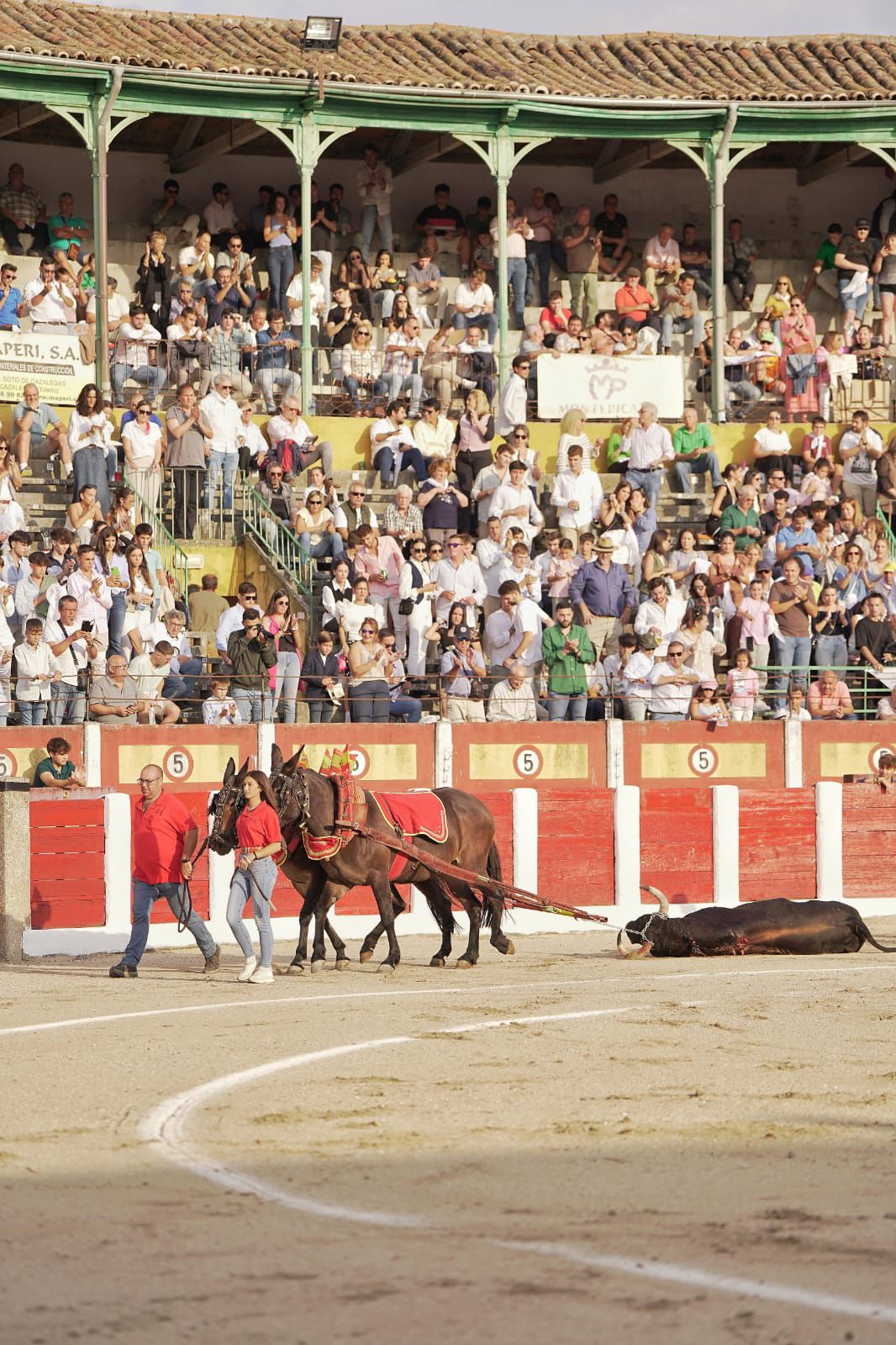 Tomás Rufo en Talavera 