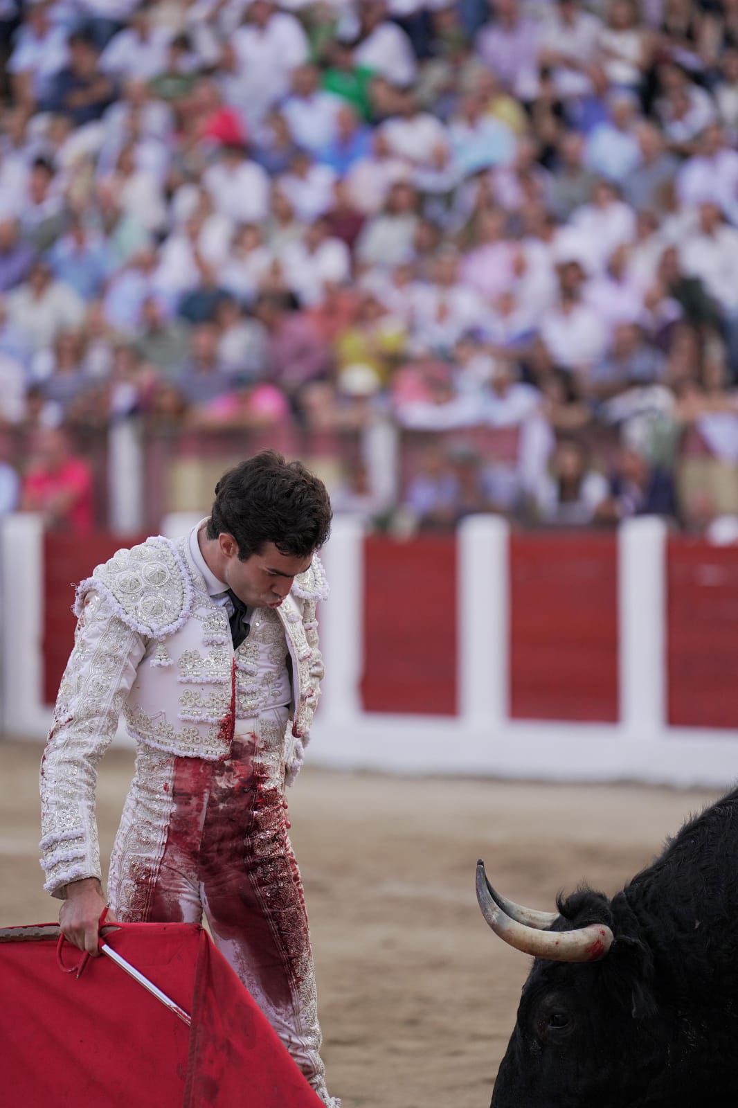 Tomás Rufo en Talavera 