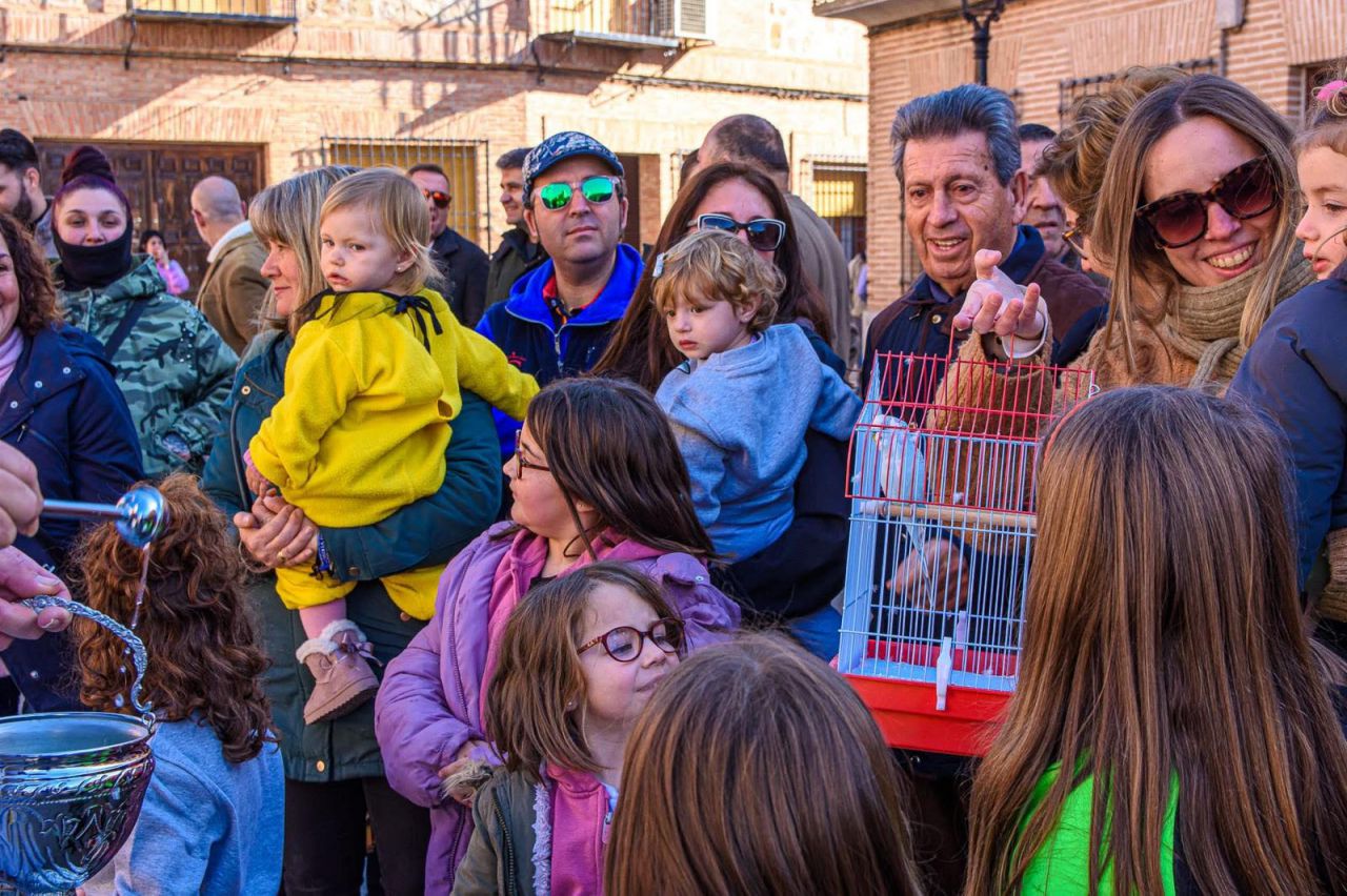 Gálvez: Las fotos de San Antón, una fiesta con casi 200 años de historia