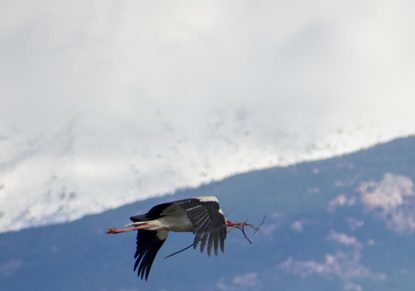 Navamorcuende y la Sierra de Gredos