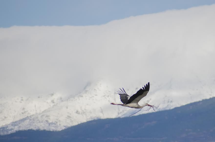 Navamorcuende y la Sierra de Gredos