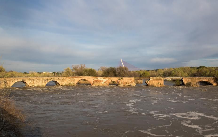 Alerta roja en Talavera por el Tajo