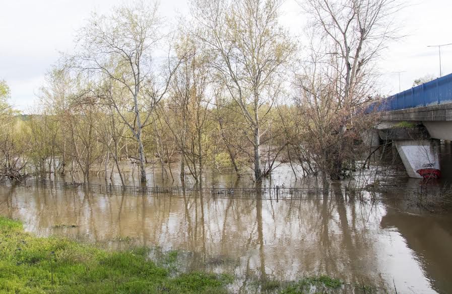 Alerta roja en Talavera por el Tajo