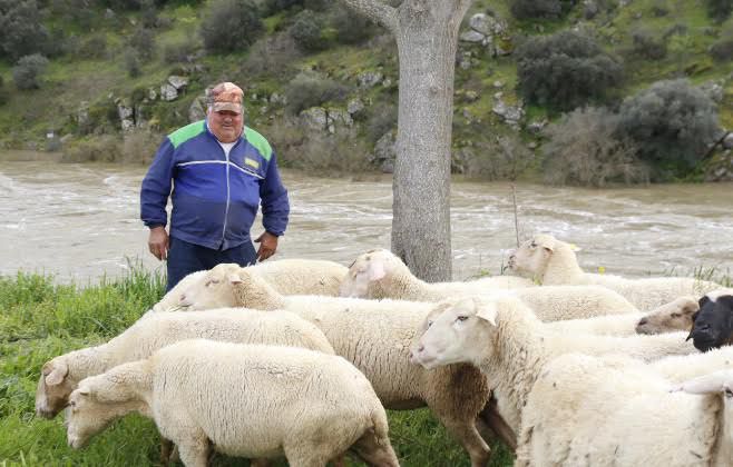 Impactantes imágenes de El Puente del Arzobispo y la presa de Azután