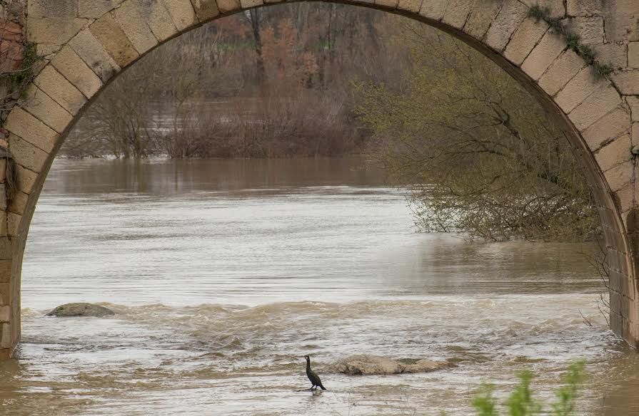 Impactantes imágenes de El Puente del Arzobispo y la presa de Azután