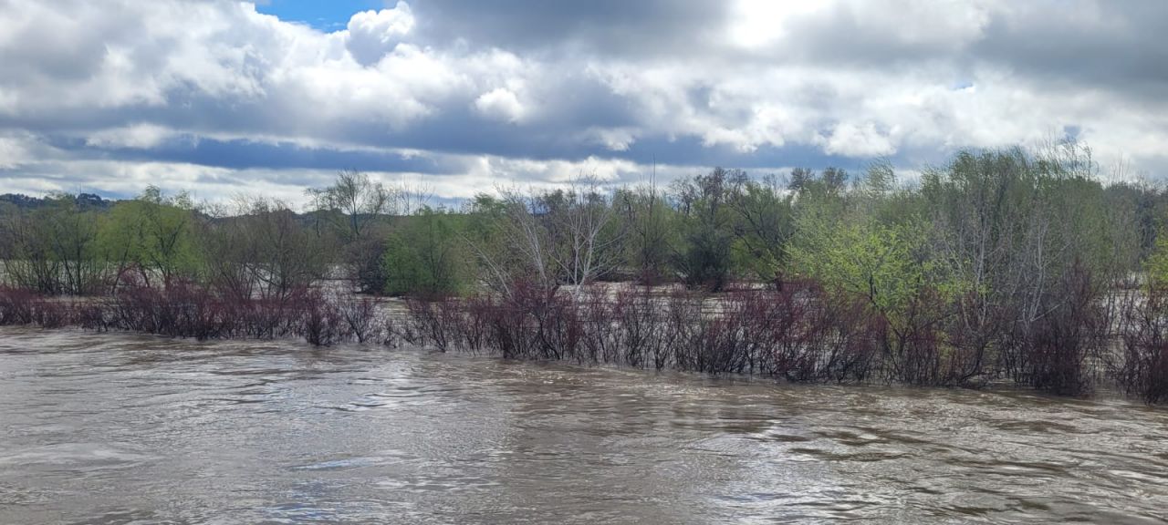 Las images de los efectos de la borrasca Martinho y del desbordamiento del río Tajo en Talavera