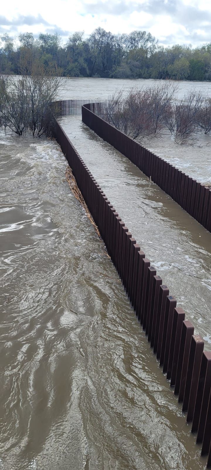 Las images de los efectos de la borrasca Martinho y del desbordamiento del río Tajo en Talavera