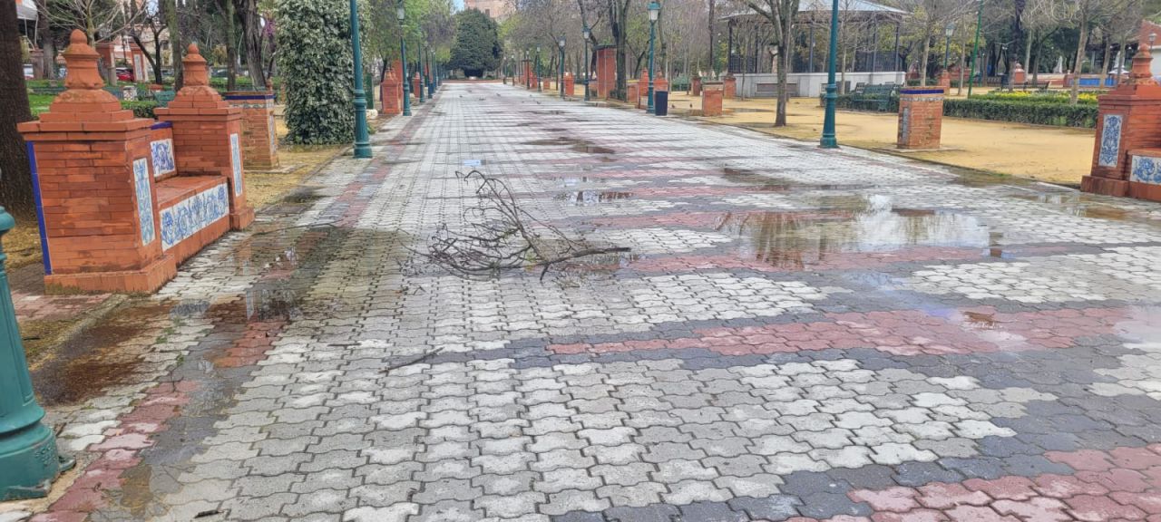 Las images de los efectos de la borrasca Martinho y del desbordamiento del río Tajo en Talavera