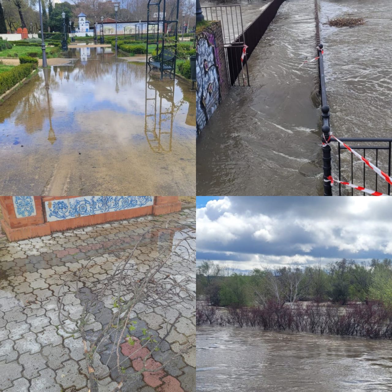 Las images de los efectos de la borrasca Martinho y del desbordamiento del río Tajo en Talavera