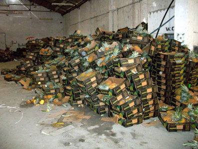 Las decenas de cajas se encuentran apiladas con el producto en el interior de la nave. (Foto: A.R.)