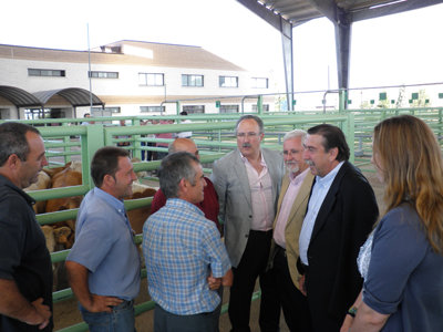 El alcalde visitó las instalaciones del Mercado de Ganado. (Foto: LVDT)