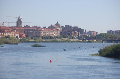 El Tajo sigue padeciendo los efectos del trasvase. (Foto: Carlos Granda)