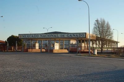 El Mercado de Ganado se encuentra junto a la A-5 y al Polígono Industrial Torrehierro. (Foto: J.F.)