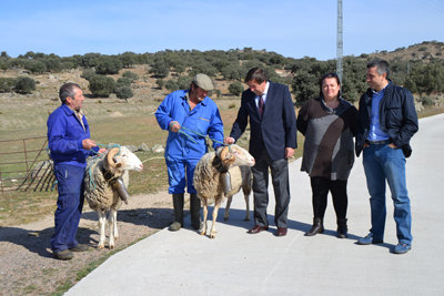 El alcalde visitó a los carneros en Gamonal. (Foto: LVDT)