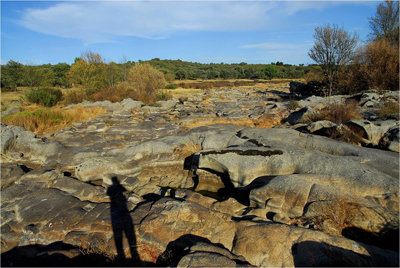 Una imagen de lo que queda del río Tiétar a su paso por Monteagudo. (Foto: LVDT)