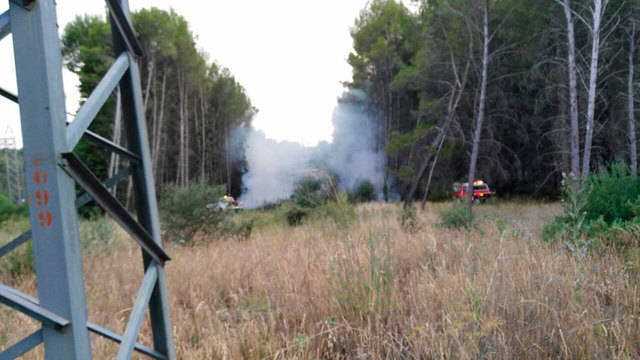 Un incendio en las inmediaciones de la Subestación de Azután afecta a 12.000 metros cuadrados de pasto y pinos propiedad de Iberdrola