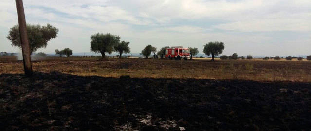 Bomberos e INFOCAM sofocan un incendio producido este domingo en el término de Talavera La Nueva