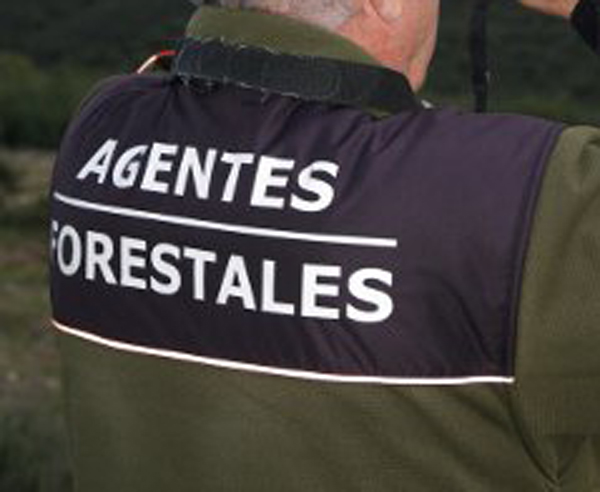 La Junta sanciona a seis agentes forestales