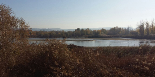 Diez eurodiputados conocerán 'in situ' el estado del río Tajo a su paso por Talavera