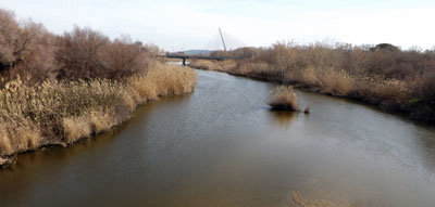 Medio Ambiente aprueba un nuevo trasvase desde la cabecera del Tajo