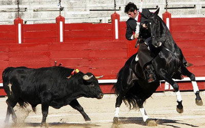 Exitoso III Festival Benéfico contra el cáncer infantil en la Plaza de Toros de Toledo