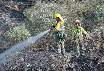 Efectivos del INFOCAM acaban de sofocar el incendio registrado el pasado lunes junto al embalse de Cazalegas