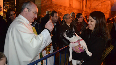 Bendición animal por San Antón