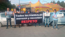 Activistas pro defensa animal protestan ante el circo Gottani en Talavera