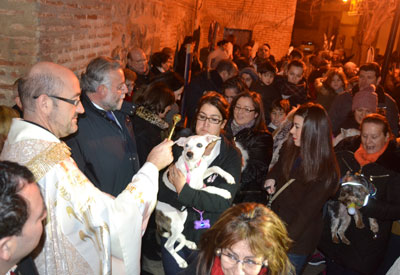 Decenas de animales, protagonistas en la bendición de San Antón en Talavera