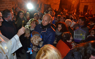 Decenas de animales, protagonistas en la bendición de San Antón en Talavera