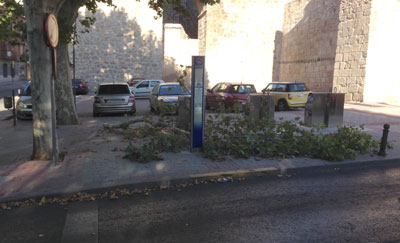 Una gran rama de árbol cayó sobre la calle Palenque de Talavera