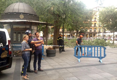 Caen varias ramas de árboles en la céntrica plaza de Zocodover de Toledo