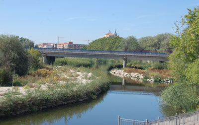 Ayuntamiento y Delegación del Gobierno ultiman un convenio para reponer las farolas del Puente del Príncipe