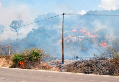 Alrededor de 10 hectáreas arden en un incendio originado junto al embalse de Cazalegas