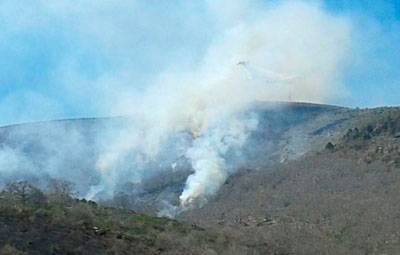 Un incendio en El Real de San Vicente arrasa una zona de castaños