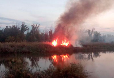 El incendio de la isla del río Tajo frente a la Universidad sigue vivo una semana después