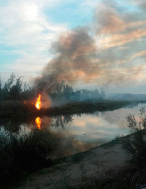 El incendio de la isla del río Tajo frente a la Universidad sigue vivo una semana después