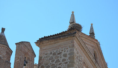 La Iglesia solicita al Ayuntamiento que se retiren los nidos en el tejado de La Colegial