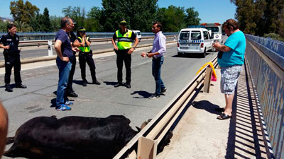 El niño de 9 años herido por el toro durante San Isidro ya ha sido dado de alta