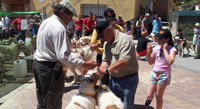 Pádel y rehalas de perros de caza, protagonistas en Pepino