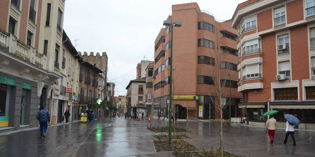 Solo Ciudadanos defendió una moción contra la peatonalización