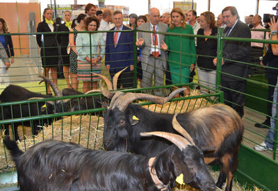 Sanz con Cospedal y otras autoridades en la inauguración de CapraEspaña en Talavera. (Foto: J.F.)