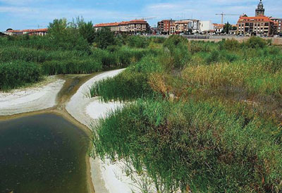 No hay paz para el río Tajo