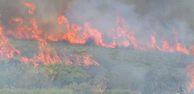 Así está ahora mismo el incendio de Navalonguilla