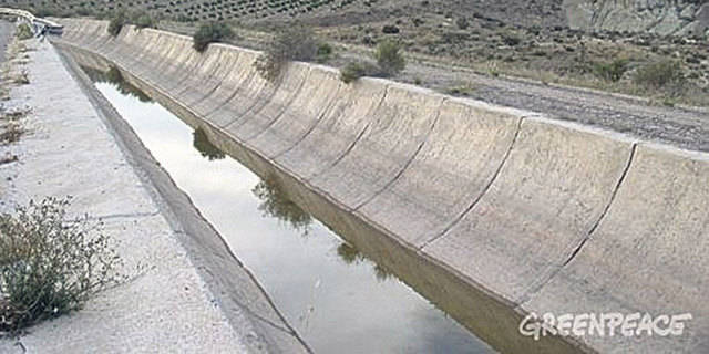 Greenpeace desvela que la cuenca del Segura no es deficitaria